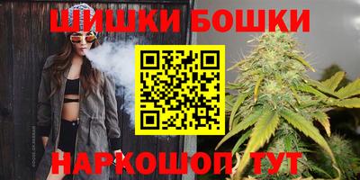 индика Моздок