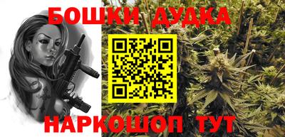 индика Моздок