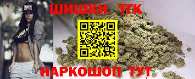 индика Моздок