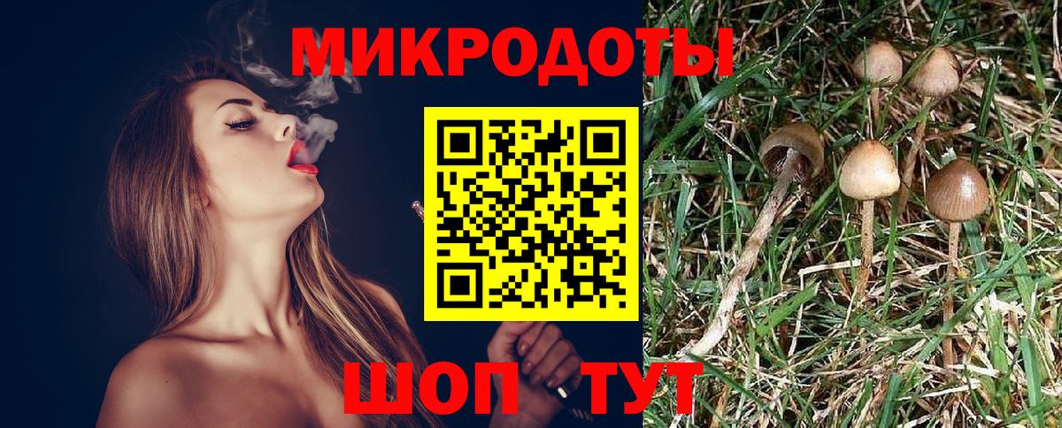 Псилоцибиновые грибы GOLDEN TEACHER  Вход с VPN  Торжок 